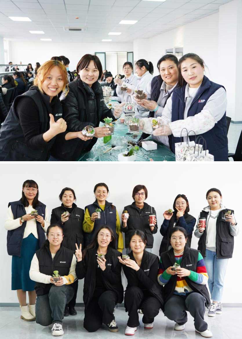 3.8 婦女節丨微景觀DIY，一起邂逅微世界里的春日—AIP艾普